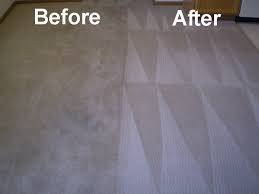 Carpet Cleaning in Virginia Beach